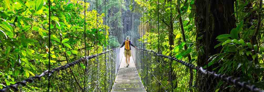 Why get a yellow fever jab.