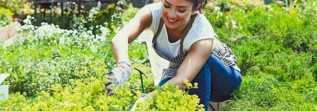 Buy insect repellent spray